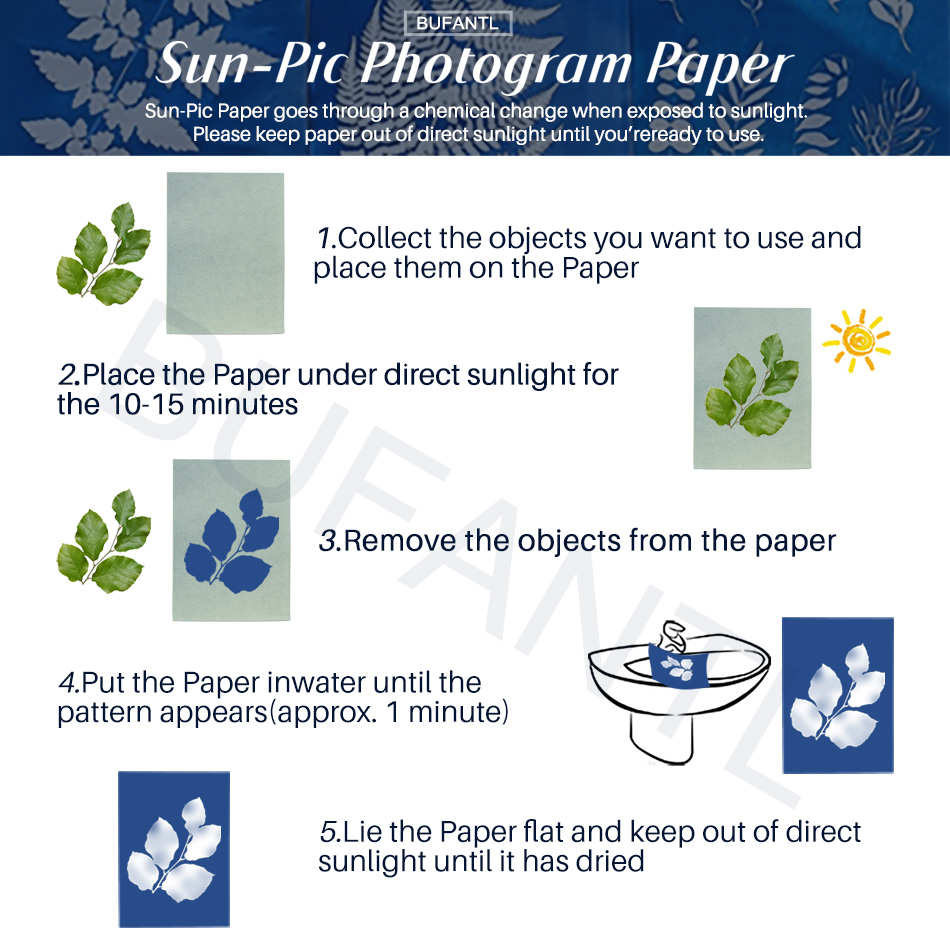 Papel para Cianotipia, Paquete - Lighting In Photography For Beginners reseña y precio