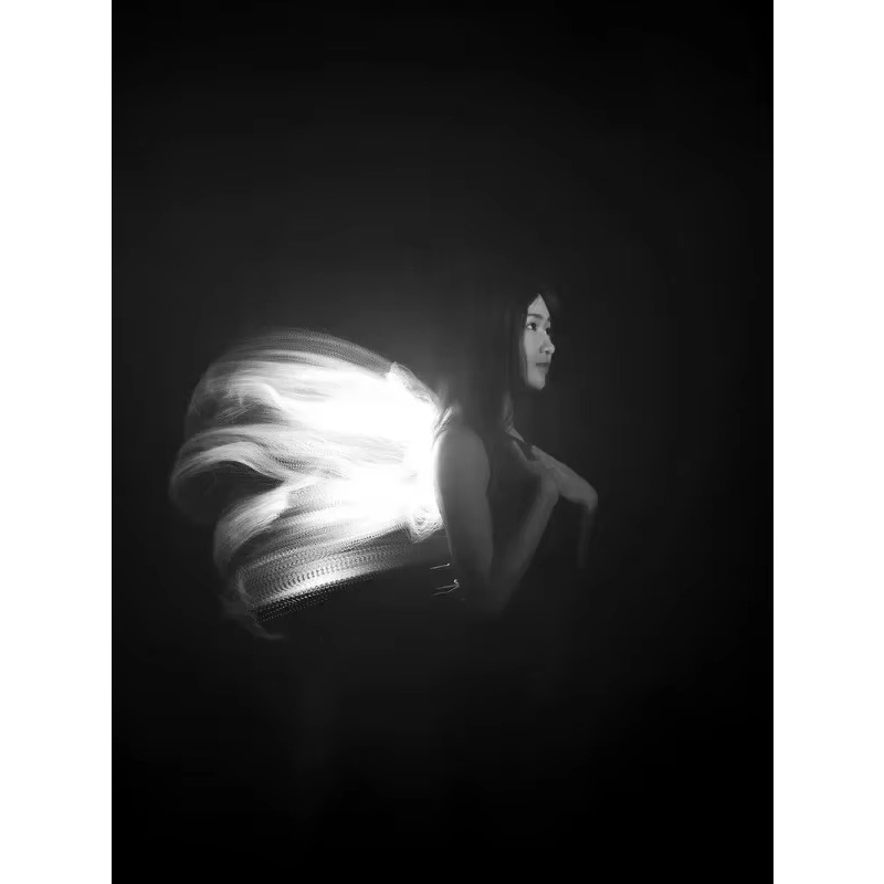 Módulo de luz de cepillo liger - Photography Lighting Guides reseña y precio